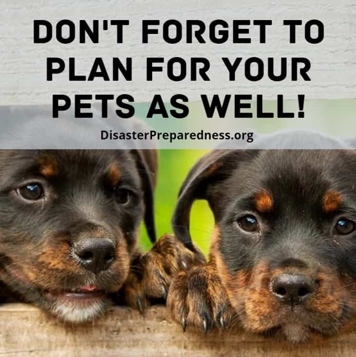 Don't forget to plan for your pets as well!