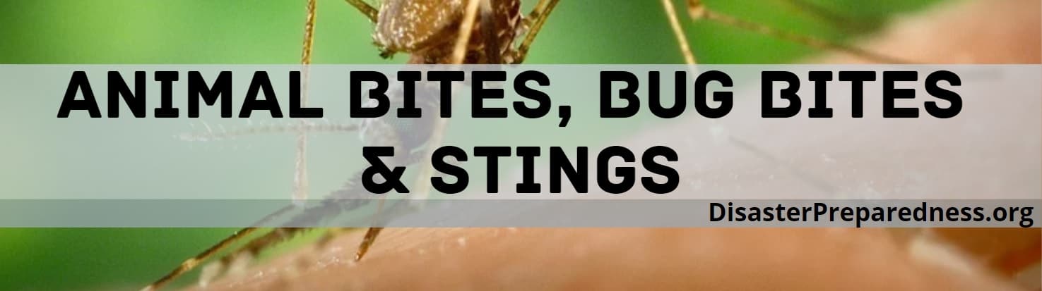 Animal Bites, Bug Bites & Stings | Disaster Preparedness
